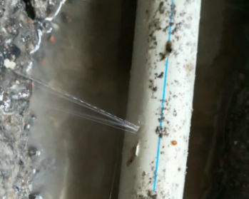 绥芬河卫生间测漏水多少钱