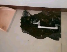 绥芬河卫生间测漏水多少钱